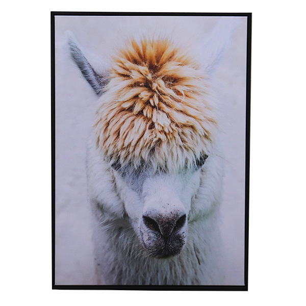 Schilderij alpaca groot (50x70) 1