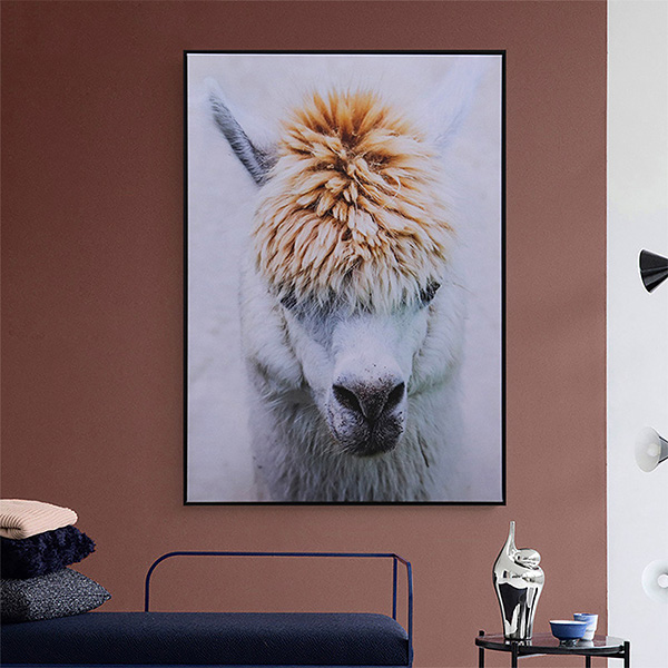 Schilderij alpaca groot (50x70) 2